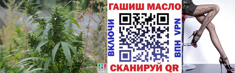 мега как войти  Североморск  ТГК гашишное масло 